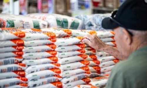 Cesta básica em Santiago tem queda de 1,2% em julho e passa a custar R$ 736,37