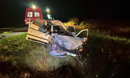 Duas pessoas morrem e uma fica ferida após colisão de carro contra cavalo na BR-290, em Rosário do Sul