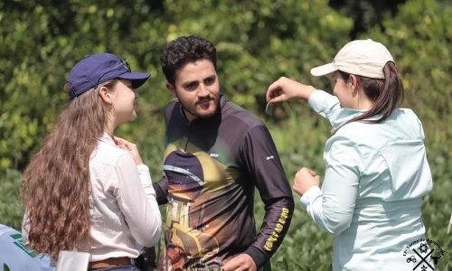 Acadêmicos de Agronomia da URI Santiago realizam aula prática de Entomologia Agrícola na Área Experimental